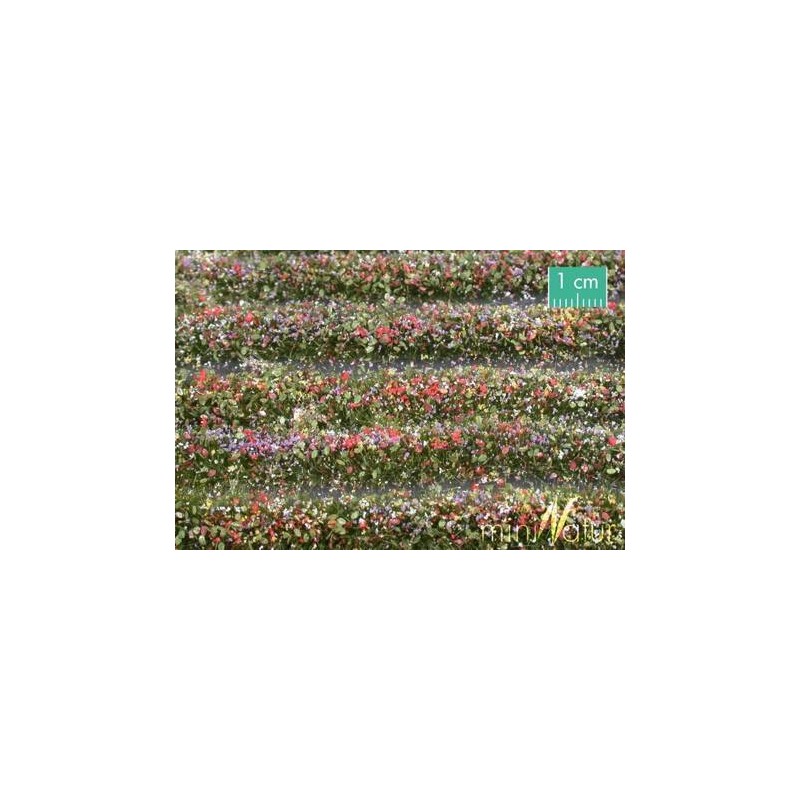 MiniNatur - Tuft - Paski kwitnącyc kolorowych roślin