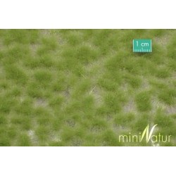MiniNatur - Tuft - Długa wiosenna trawa