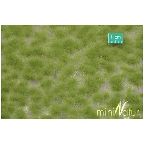 MiniNatur - Tuft - Długa wiosenna trawa