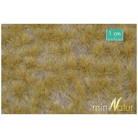 MiniNatur - Tuft - Długa późno-jesienna trawa
