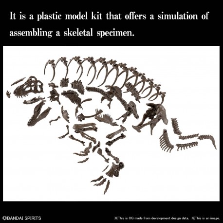 Imaginary Skeleton 1/32 Tyrannosaurus