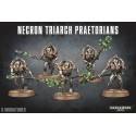 Necron Triarch Praetorians / Lychguard