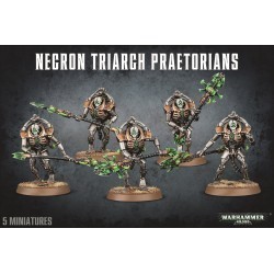 Necron Triarch Praetorians...