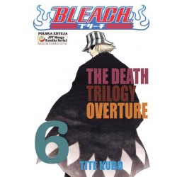 Bleach tom 06