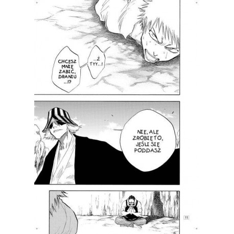 Bleach tom 08