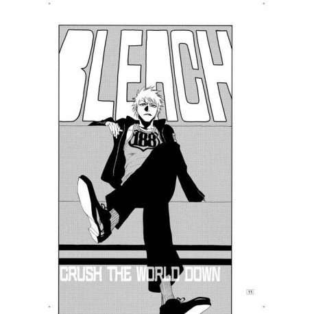 Bleach tom 22