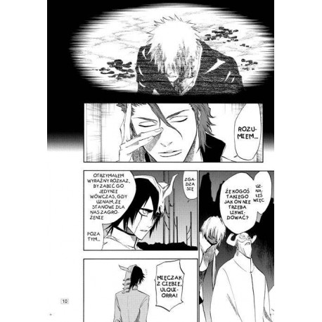 Bleach tom 23