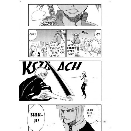 Bleach tom 25