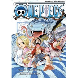 One Piece tom 29