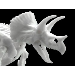 Dinosaur Model Kit - Limex Skeleton Triceratops