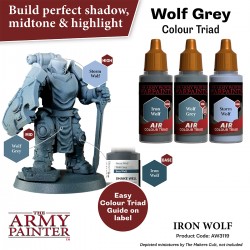 Army Painter Air - Iron Wolf