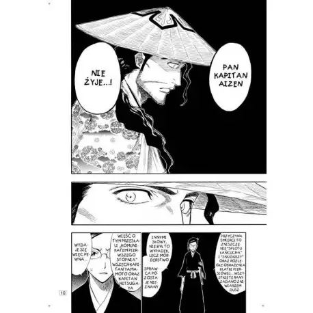 Bleach tom 13