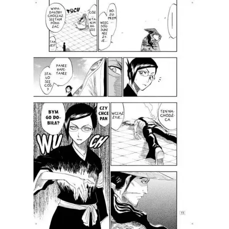 Bleach tom 13