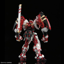 HIRM 1/100 Gundam Astray Red Frame Powered Red