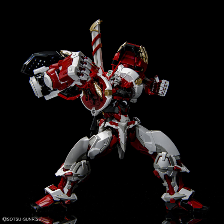 HIRM 1/100 Gundam Astray Red Frame Powered Red