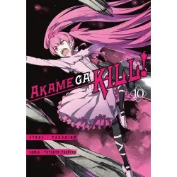 Akame ga kill! (tom 10)