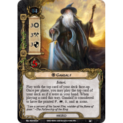 The Lord of the Rings LCG The Fellowship of the Ring - Saga Expansion (przedsprzedaż)