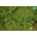MiniNatur - Wiosenna żyzna łąka (30x50 cm)