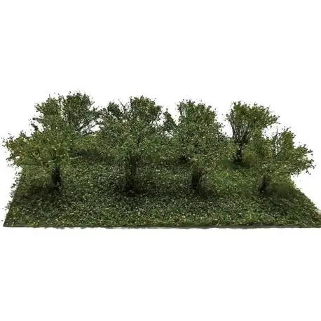 MiniNatur - Wczesnojesienne krzewy z gotowym podłożem 3 cm