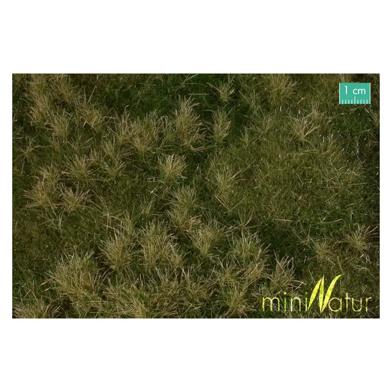 MiniNatur - Wczesnojesienna żyzna łąka (30x50 cm)