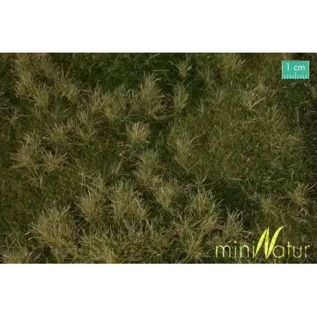 MiniNatur - Wczesnojesienna żyzna łąka (30x50 cm)