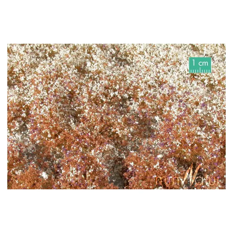 MiniNatur - Tuft - Późnojesienna kwitnąca roślinność 2 (42x15 cm)