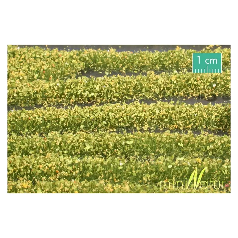 MiniNatur - Tuft - Paski kwitnących żółtych roślin 336 cm