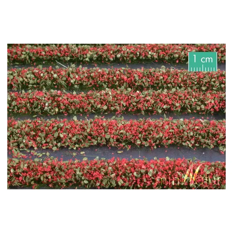MiniNatur - Tuft - Paski kwitnących czerwonych roślin 336 cm