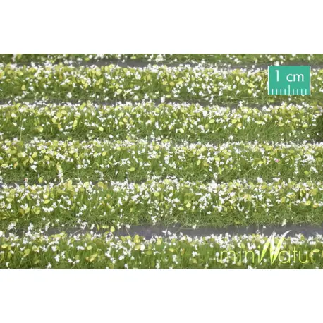 MiniNatur - Tuft - Paski kwitnących białych roślin 336 cm