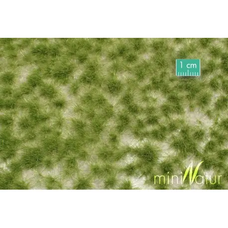 MiniNatur - Tuft - Długa wczesnojesienna trawa 2 (42x15 cm)
