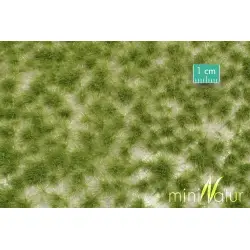 MiniNatur - Tuft - Długa wczesnojesienna trawa 1 (42x15 cm)