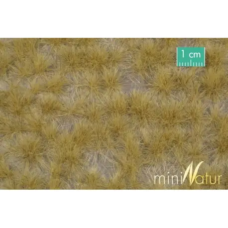 MiniNatur - Tuft - Długa późnojesienna trawa 2 (42x15 cm)