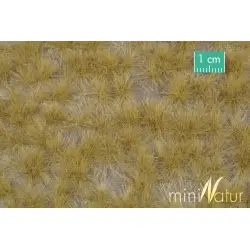 MiniNatur - Tuft - Długa późnojesienna trawa 12 mm (24x15 cm)
