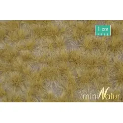MiniNatur - Tuft - Długa późnojesienna trawa 1 (42x15 cm)