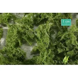 MiniNatur - Runo leśnie jasne - Wieczny zielony (27x16,5 cm)