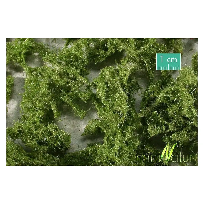MiniNatur - Runo leśnie jasne - Wieczny zielony (27x16,5 cm)
