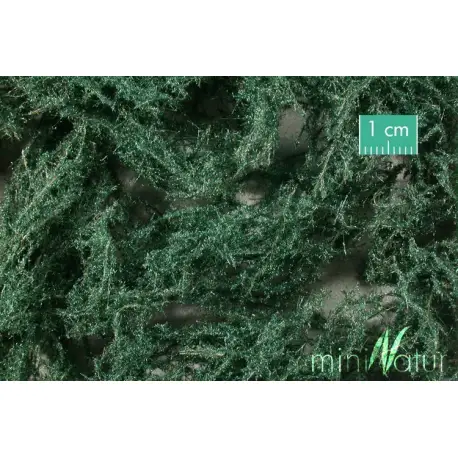 MiniNatur - Runo leśnie ciemne - Wieczny zielony (27x16,5 cm)