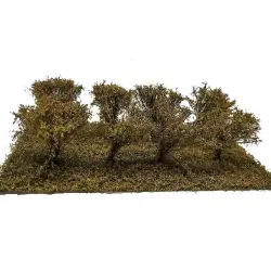 MiniNatur - Późnojesienne krzewy z gotowym podłożem 3 cm