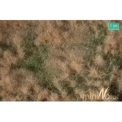 MiniNatur - Późnojesienna żyzna łąka (30x50 cm)