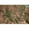 MiniNatur - Późnojesienna żyzna łąka (30x50 cm)