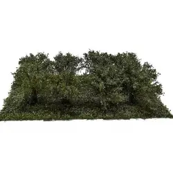 MiniNatur - Letnie krzewy z gotowym podłożem 3 cm