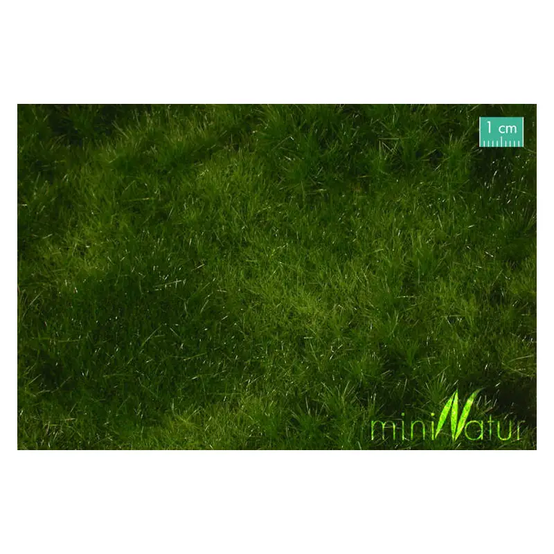 MiniNatur - Letnia żyzna łąka (30x50 cm)