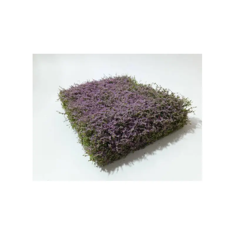 MiniNatur - Kwitnący na fioletowo żywopłot (12x14 cm)