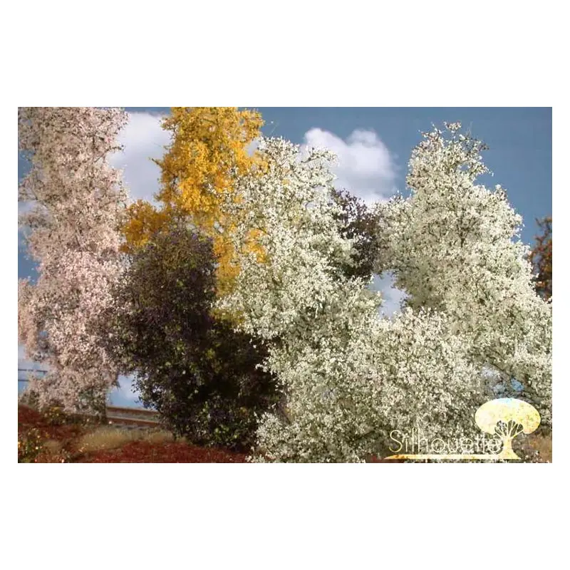 MiniNatur - Filigranowy kwitnący krzew wiosenny (1:87) (1-2 szt)
