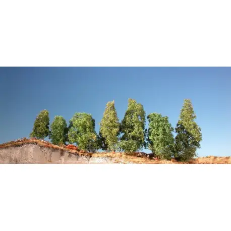 MiniNatur - Filigranowy krzew letni (4-6 szt)