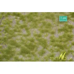MiniNatur - Dwukolorowe wiosenne tufty 2 (42x15 cm)