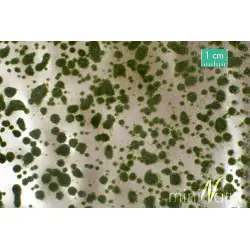 MiniNatur: Tuft - Letnie kępki mchu (42x1 cm)