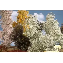 MiniNatur: Filigranowy kwitnący krzew wiosenny (1:87) (1-2 szt)