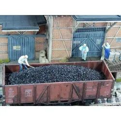 Juweela: Węgiel czarny 100 g