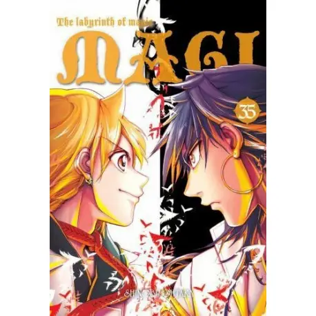 Magi: Labirynth of Magic (tom 35)